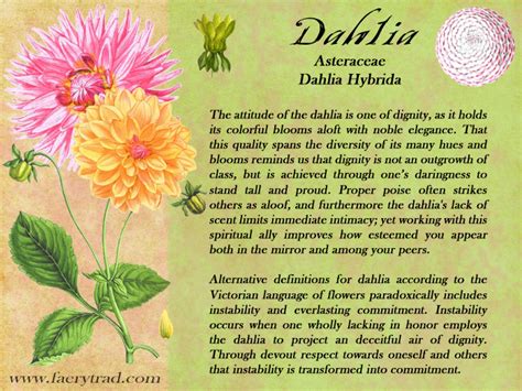 how do you spell dahlia.